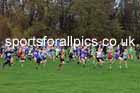 Boys Under-11s 2025 Liverpool Cross Challenge, Sefton Park, Saturday, November 22th. Photo: David T. Hewitson/Sports for All Pics